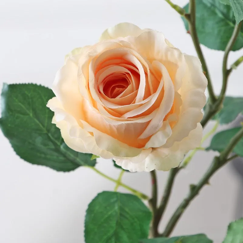 Bluma Wisteria Fabric Artificial Flower - Peach media 5
