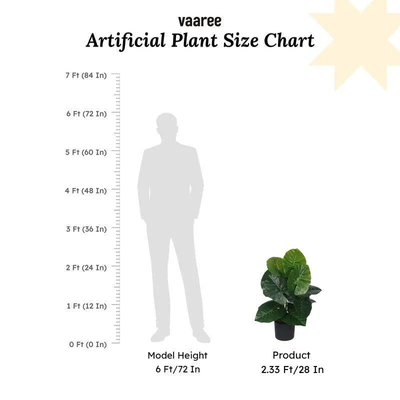 Faux Lush Rubber Fig Plant With Black Plastic Pot - 2.3 Feet media 6