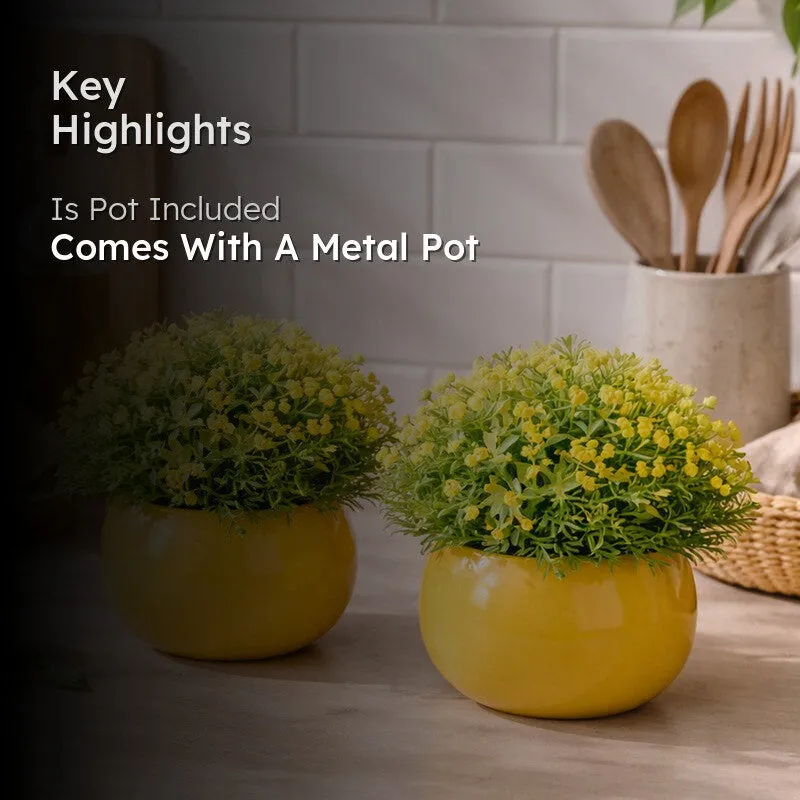 Bloomvera Artificial Rose Flower Plant With Pot (Yellow,14CM) - Set Of Two media 2