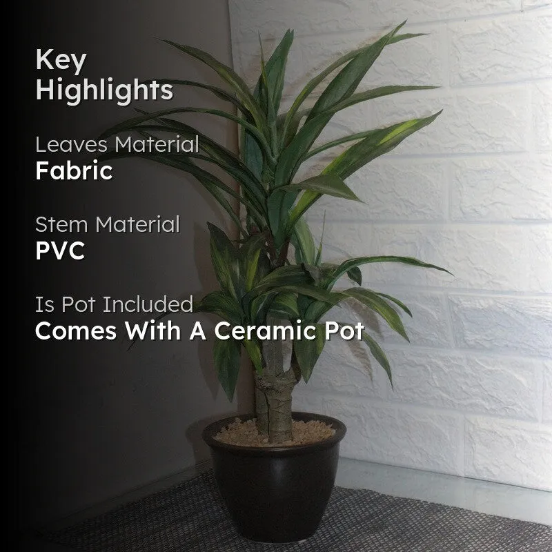 Artificial Green Dracaena Bonsai Plant With Black Fiber Pot - 1.8 Feet media 2
