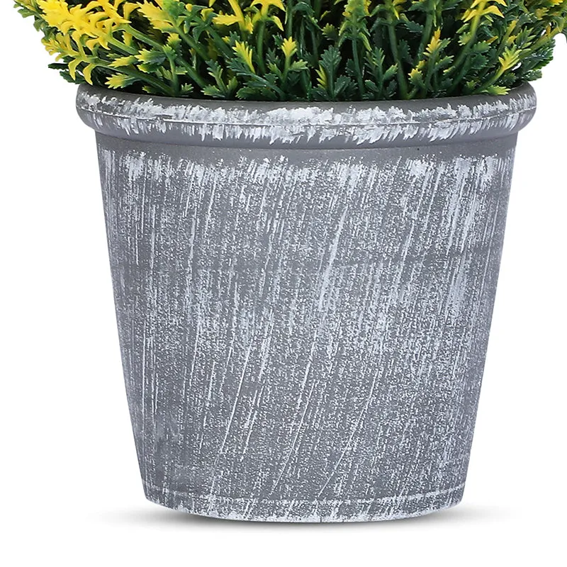 Abela Artificial Plant With Black Plastic Pot - Set Of Two media 4