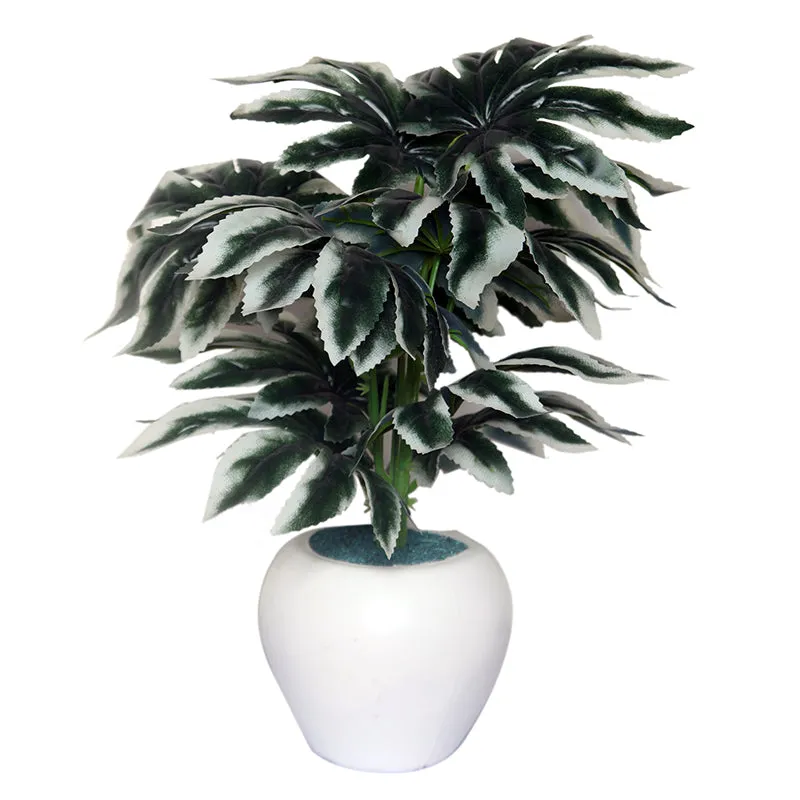 Faux Spider Web Plant With Black Plastic Pot media 4