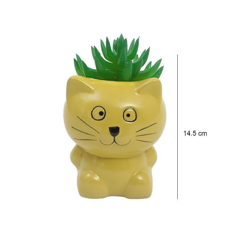 Faux Gasteria In Cat Face Pot - 13.5 cms media 5