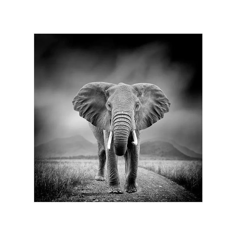 Wild Elephant Wall Painting media 5