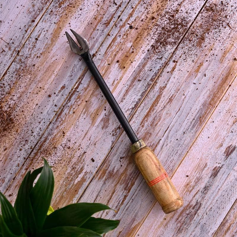 Ugaoo Single Prong Weeder media 4