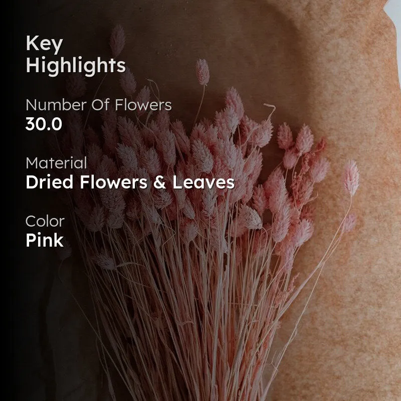 Dried Phalaris Flower Stick (Pink) - Set of Thirty media 2