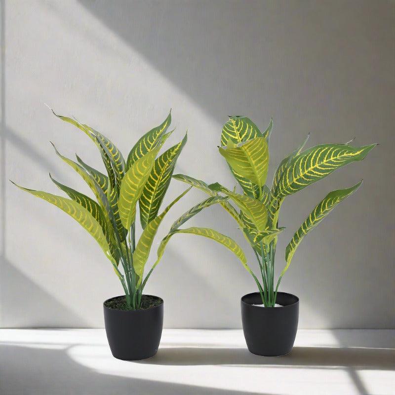 Faux Yellow Croton Plant With Black Plastic Pot (50 cms) - Set Of Two media 3