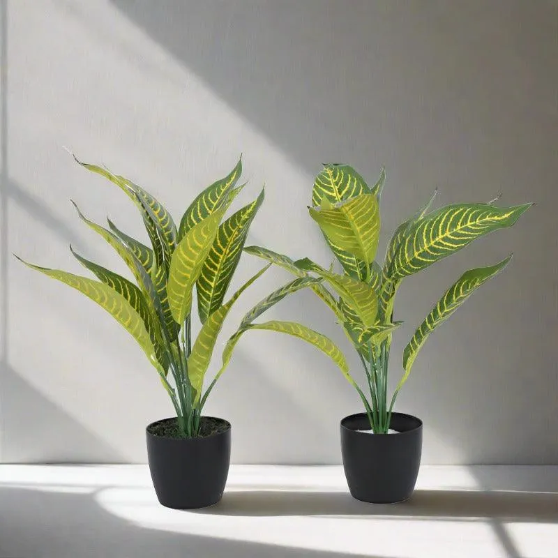 Faux Yellow Croton Plant With Black Plastic Pot (50 cms) - Set Of Two media 3