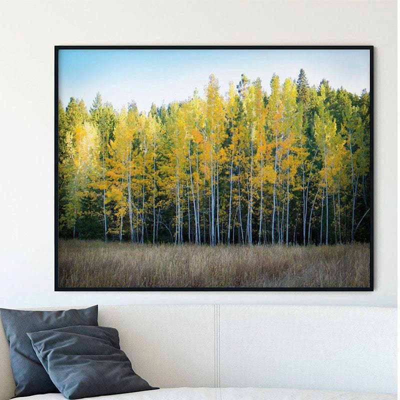 Birch Trees Canvas Wall Painting - Black Frame