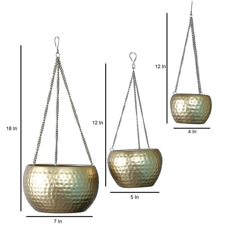 Dolema Hanging Planter - Set Of Three media 5