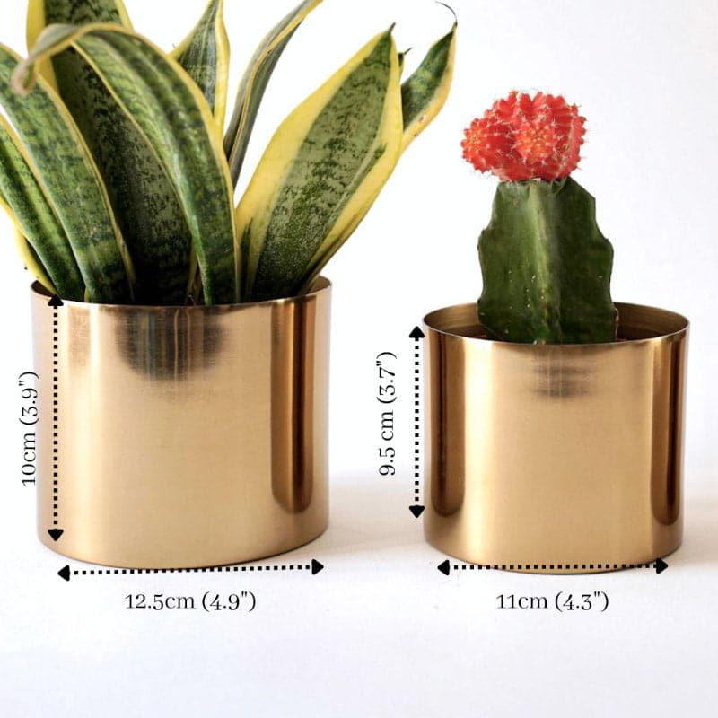 Brida Metal Planter - Set Of Two media 5