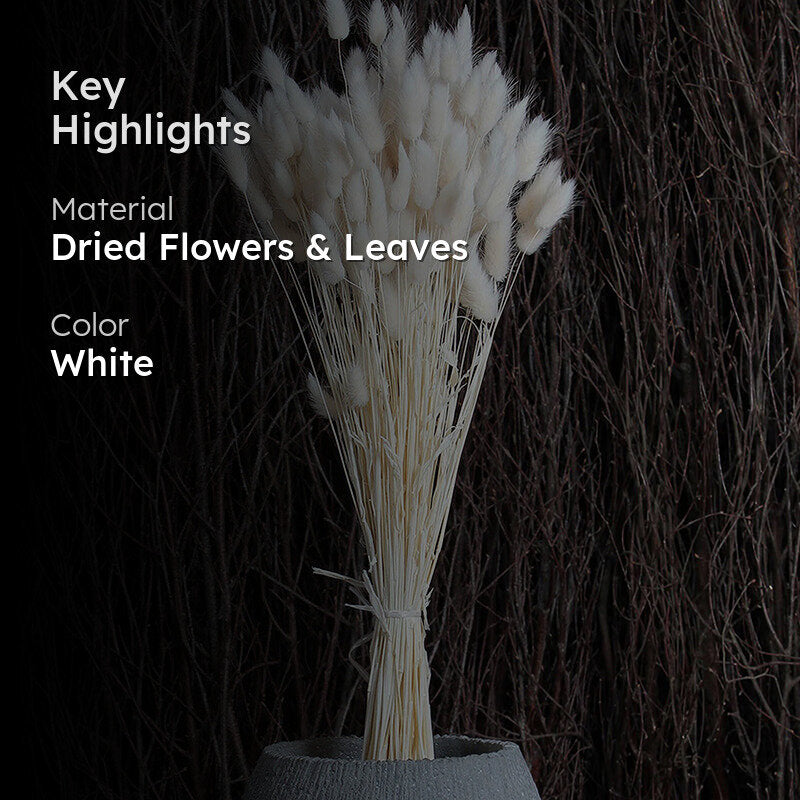 Cloudtail Dried Bunny Tail Stem (White) - Set Of Thirty media 2