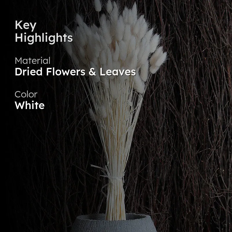 Cloudtail Dried Bunny Tail Stem (White) - Set Of Thirty media 2