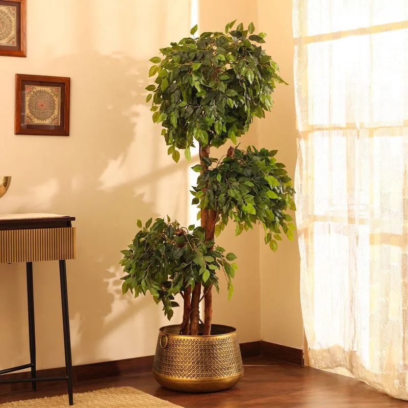Artificial Green Ficus Bonsai With Black Plastic Pot - 5.5 ft media 5