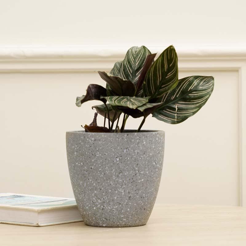 Scarlett Textured Planter - Grey media 3