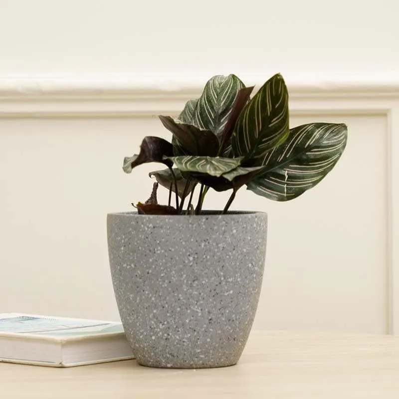 Scarlett Textured Planter - Grey media 3