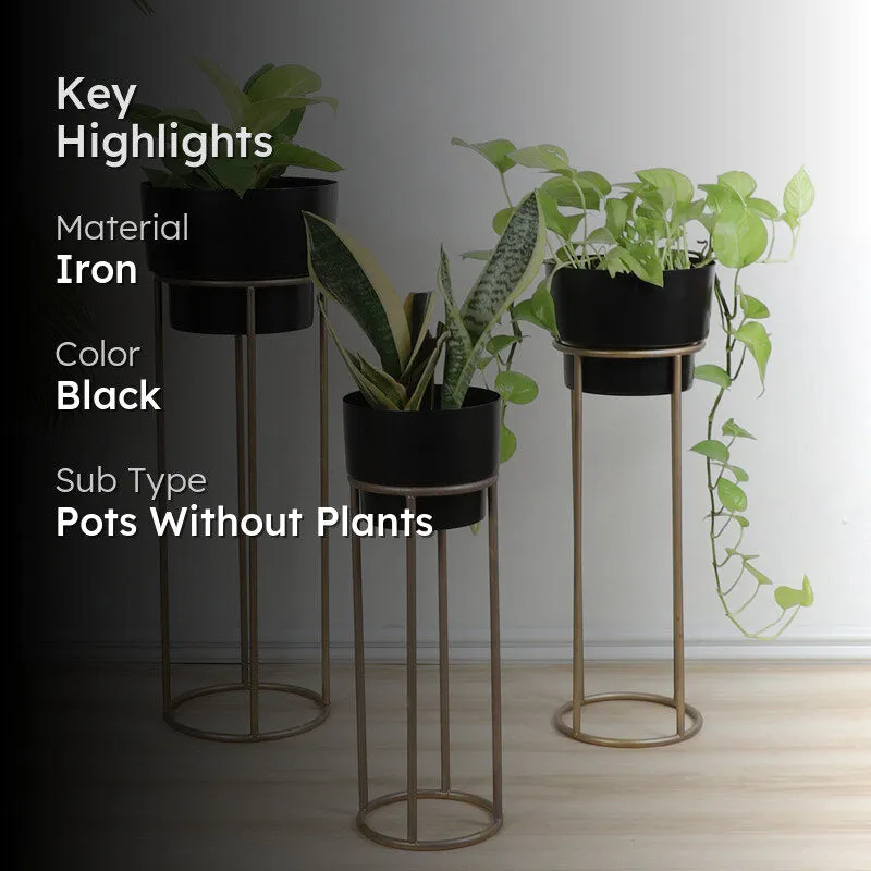 PlantePerch Planter With Stand - Set Of Three media 2