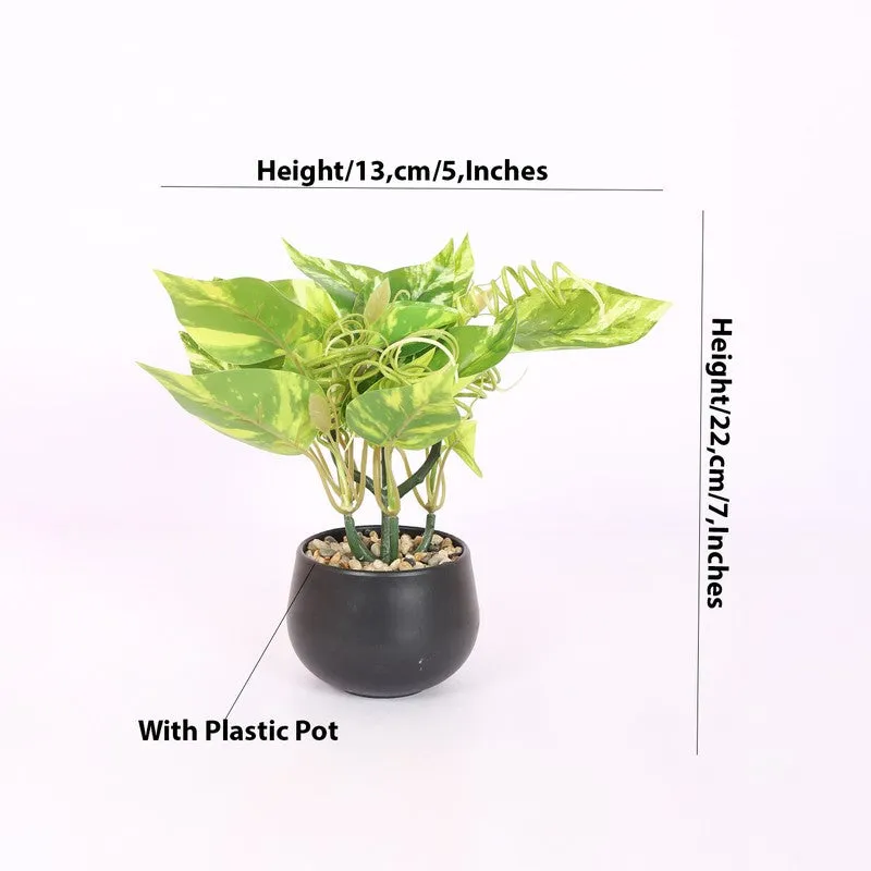 Lucky Artificial Money Plants With Pot - Light Green media 5