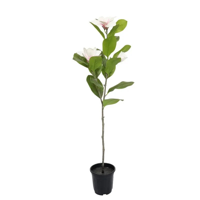 Leafio Artificial Mangolia Plant - 3.3 Feet media 3