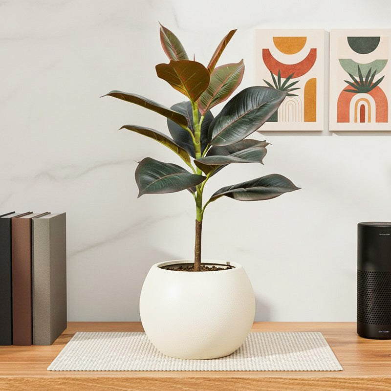 OvaFlora Artificial Rubber Plant With Black Plastic Pot - 1.6 Feet