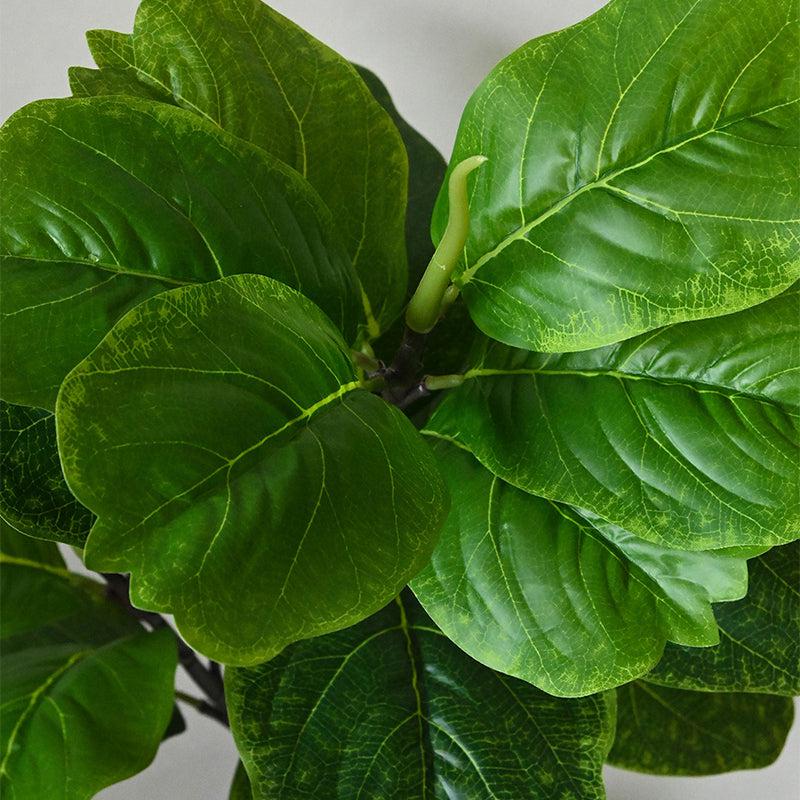 Faux Everlasting Fiddle Fig Plant With Pot - 71 cm (2.3 ft) media 3