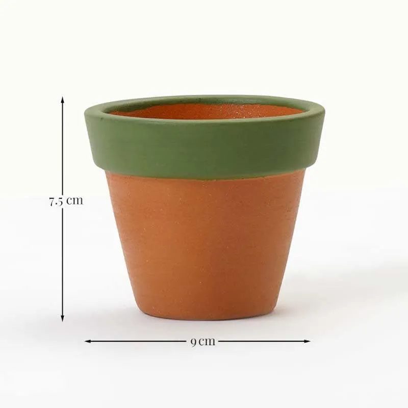 Pastel Mimic Planter - Green media 7