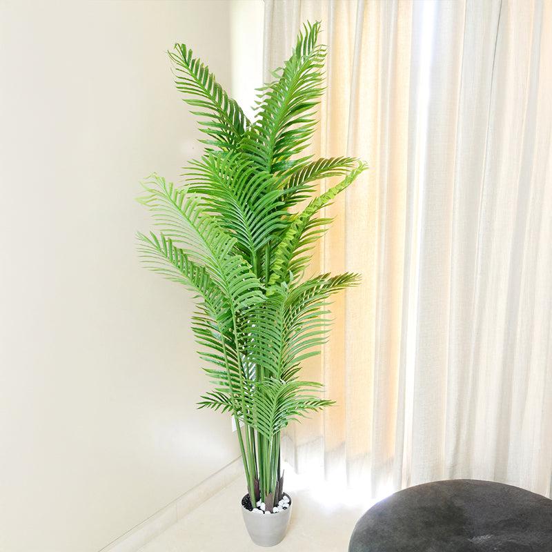 Palmera Artificial Areca Palm With Black Plastic Pot - 198 cm (6.5 ft) media 4