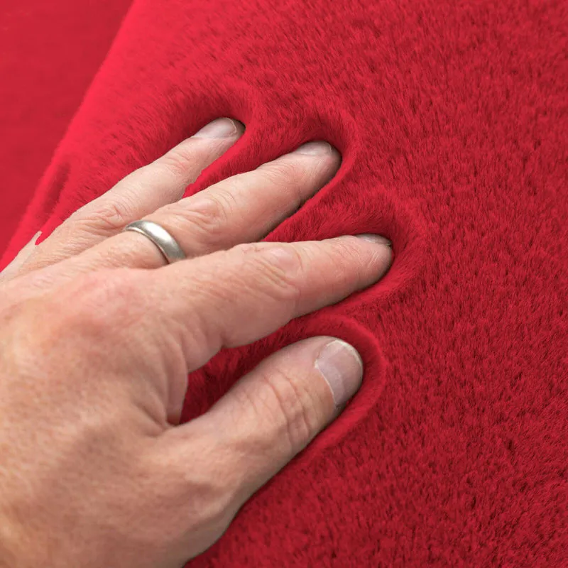 Fur Dual Cushion Cover Set (Red) - Set Of Two media 4
