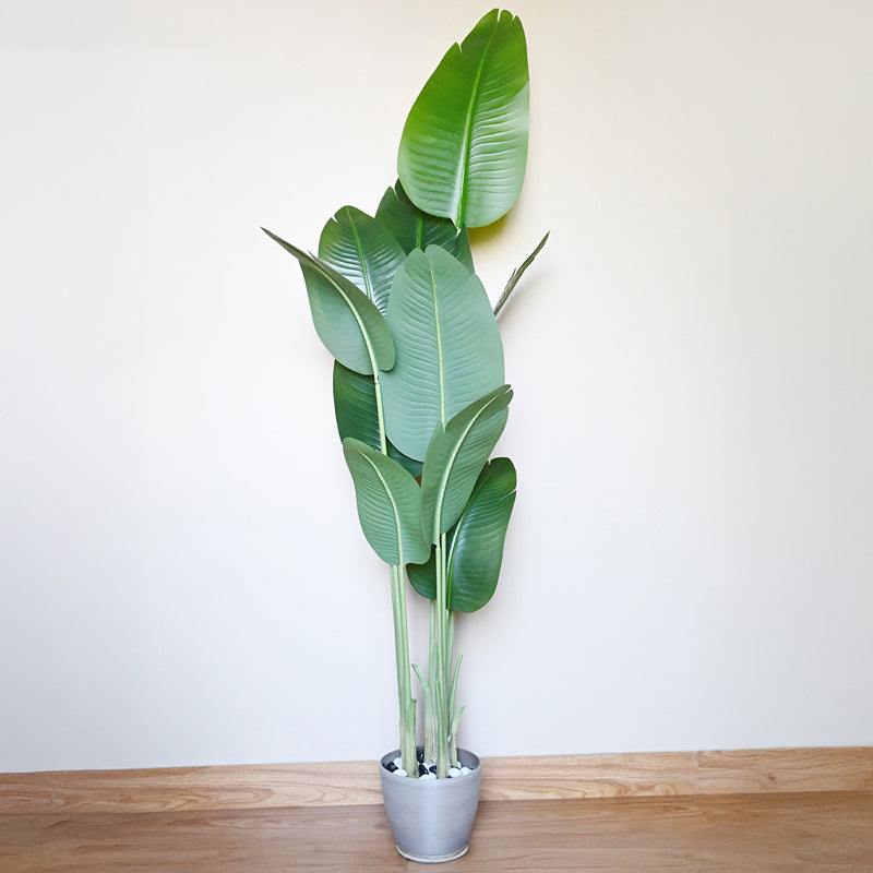 Tropibana Artificial Bird Of Paradise Plant With Black Plastic  Pot - 180 cm (6 ft) media 3