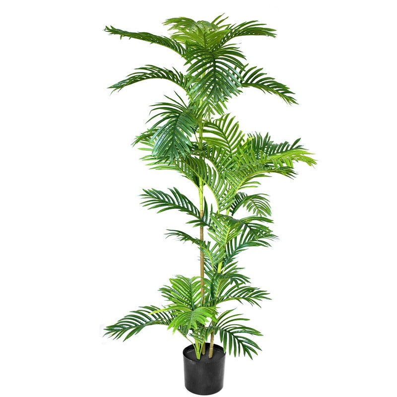 Greenly Artificial Dracaena Plant With Black Plastic Pot - 5 Feet media 4