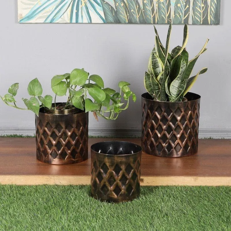 Diamo Hammered Planter - Set Of Three media 3