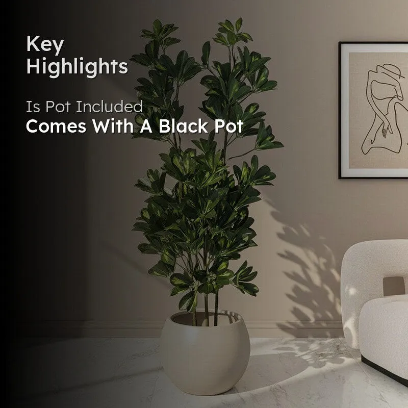 Faux Schefflera Plant With Black Plastic Pot (3.94 ft) - White - 2