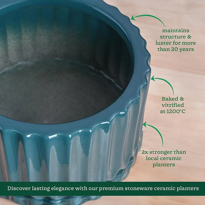 Ugaoo Stria Ceramic Planter - Green media 6