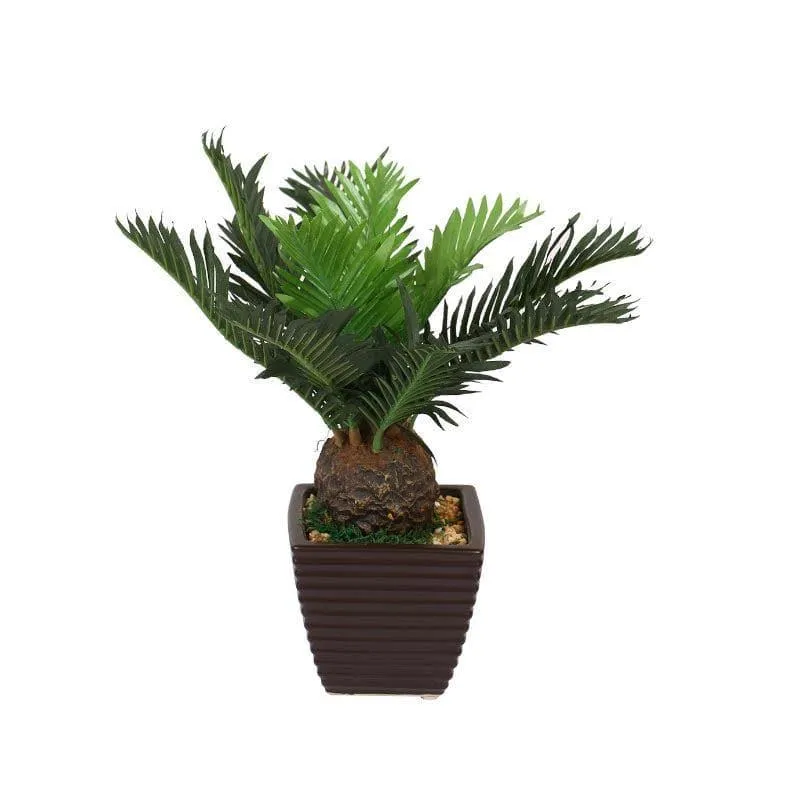 Faux Cycas Bonsai In Ceramic Pot - 33 cms media 3