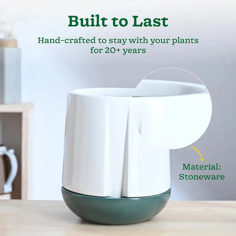 Ugaoo Duke of Drainage Ceramic Planter - White & Green media 3