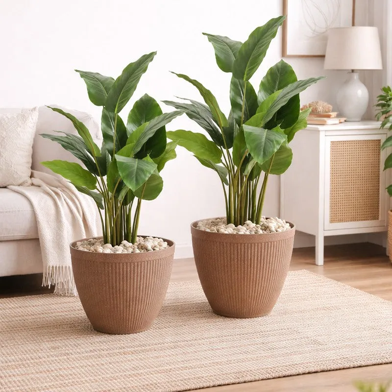 BloomBin Planters (Brown) - Set Of Two media 2