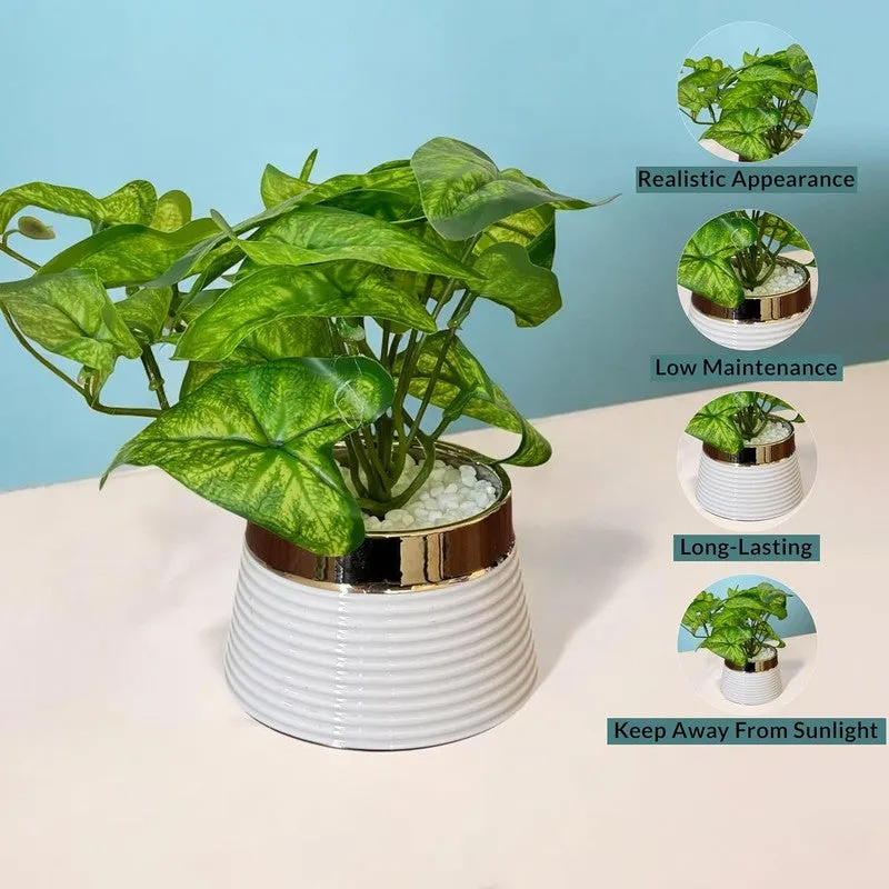 Opalyn Ceramic Vase With Artificial Plant media 3