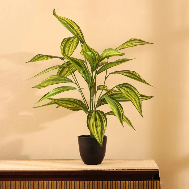 Artificial Croton Faux Plant With Pot - 2 ft media 4
