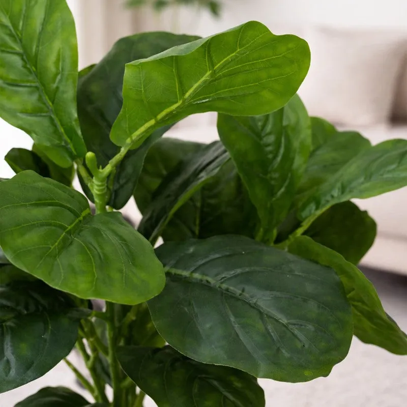 Leaf Aura Fiddle Artificial Plant With Black Plastic Pot - 89 cm (2.9 ft) media 6