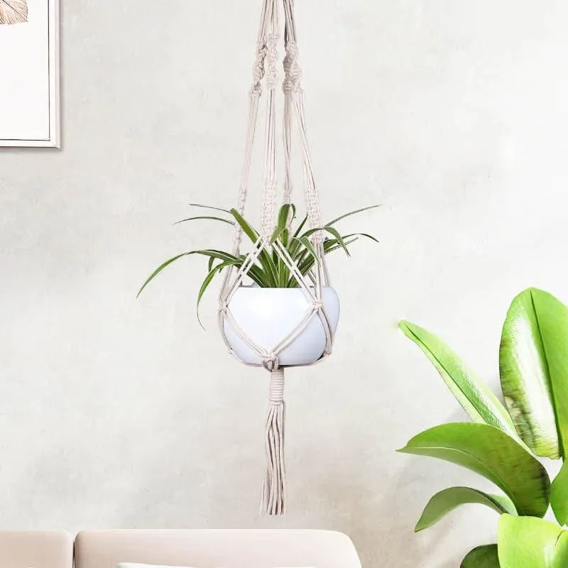Aylin Small Macrame Plant Hanger media 1