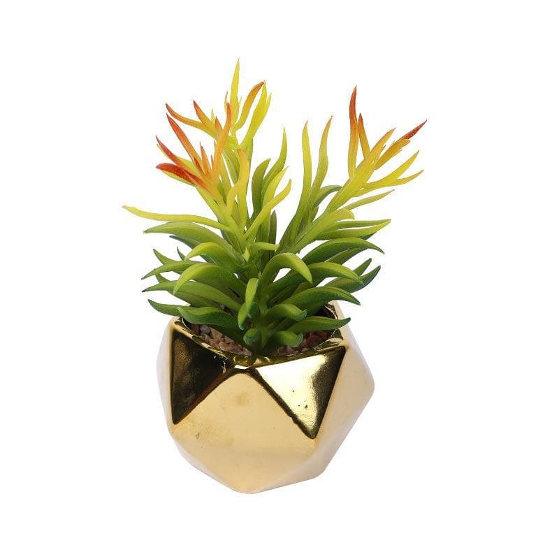 Faux Euphorbia In Gold Ceramic Pot - 16 cms media 3