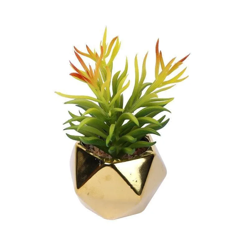 Faux Euphorbia In Gold Ceramic Pot - 16 cms - 3