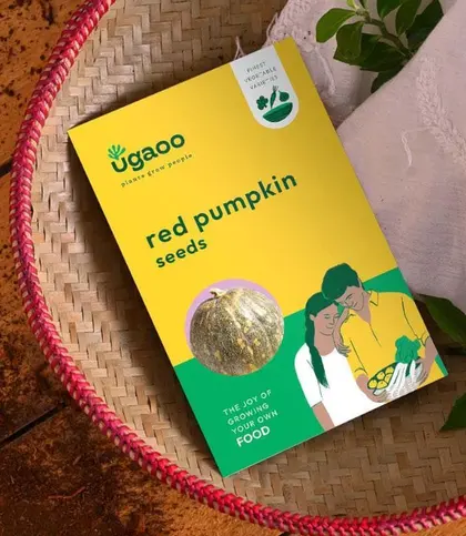 Seeds