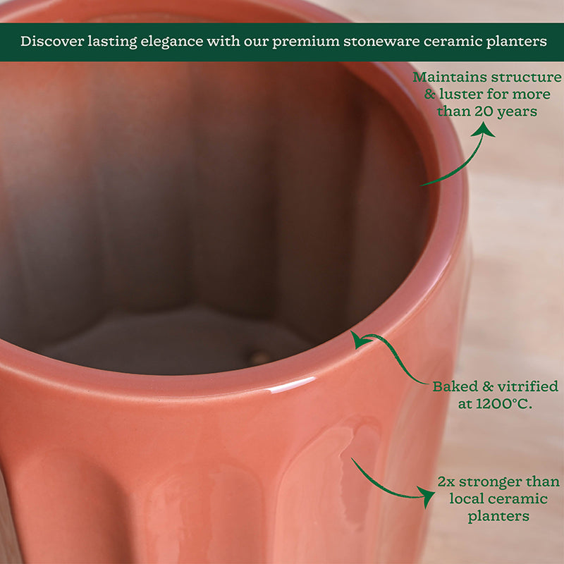 Ugaoo Straits Ceramic Planter - Pink media 5
