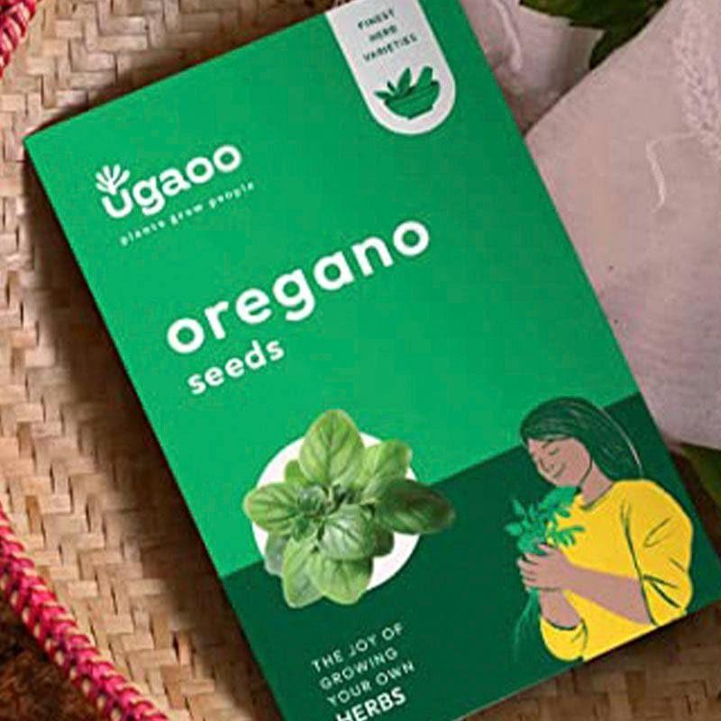 Ugaoo Oregano Green Herb Seeds media 3