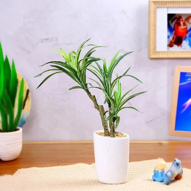 Faux Yucca Bonsai In Tube Pot - 38 cms media 1