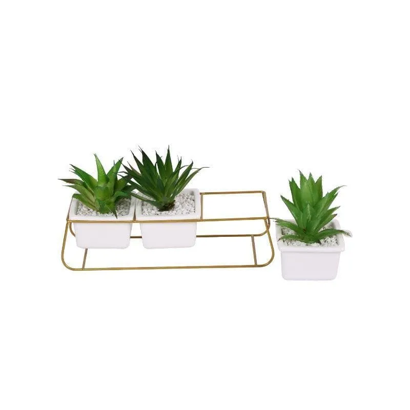 Faux Triad Succulent In Pot - 15.5 cms media 4