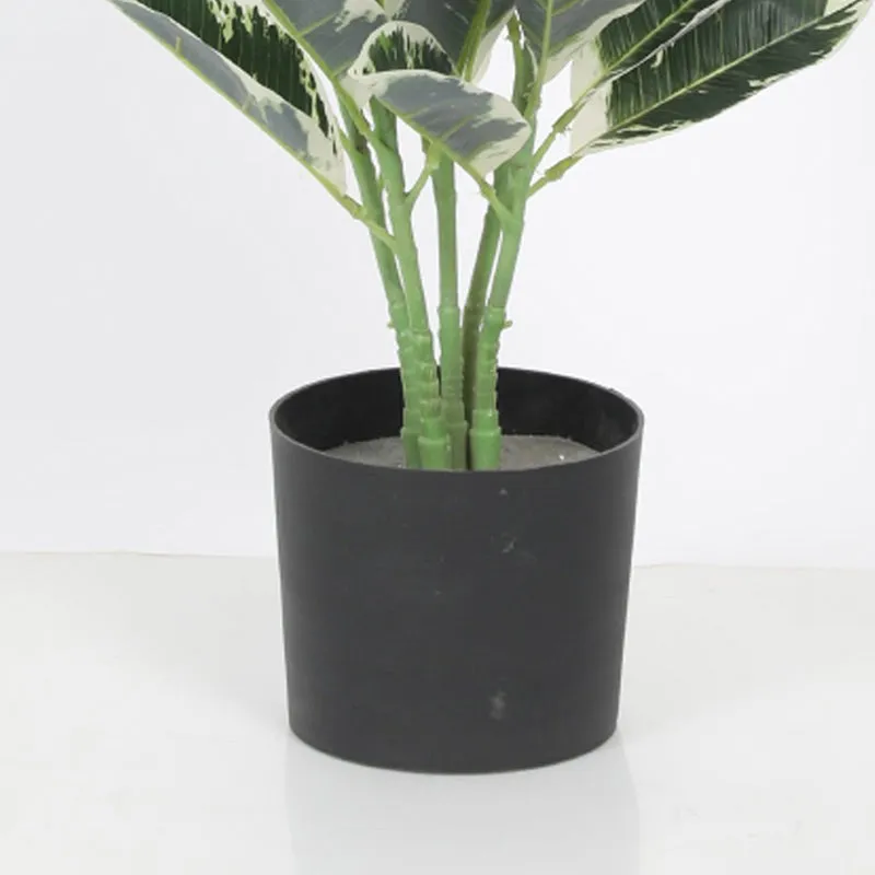 Tropikal Artificial Dieffenbachia Plant With Black Plastic Pot - 2.8 Feet media 4