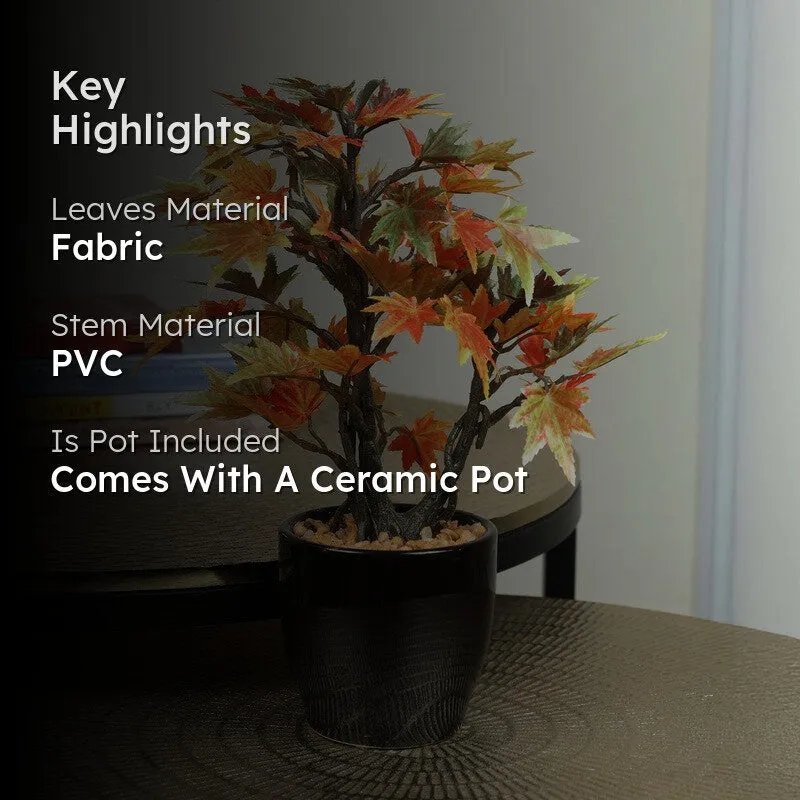Artificial Multicolor Maple Bonsai Plant With Ceramic Pot - 0.8 Feet media 2
