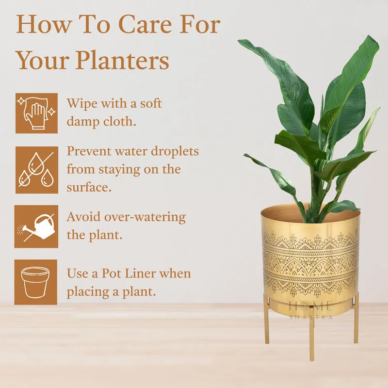Vinyas Raaga Golden Planter with Stand - Set of Two media 4